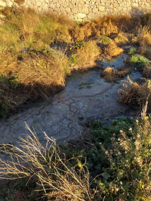El PSOE denuncia que el vertido de aguas fecales a la rambla del Madroño de Las Terreras se mantiene - 2, Foto 2