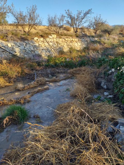 El PSOE denuncia que el vertido de aguas fecales a la rambla del Madroño de Las Terreras se mantiene - 3, Foto 3