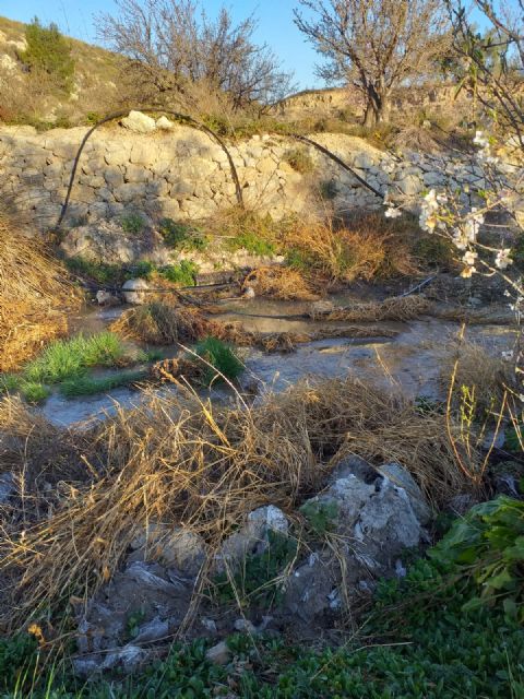 El PSOE denuncia que el vertido de aguas fecales a la rambla del Madroño de Las Terreras se mantiene - 4, Foto 4