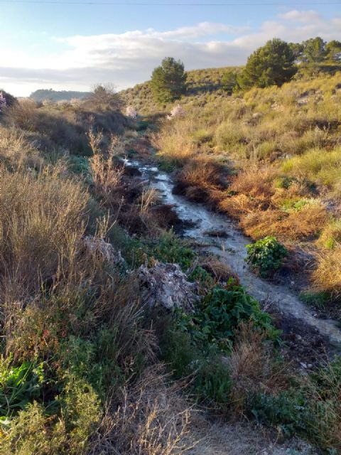 El PSOE denuncia que el vertido de aguas fecales a la rambla del Madroño de Las Terreras se mantiene - 5, Foto 5