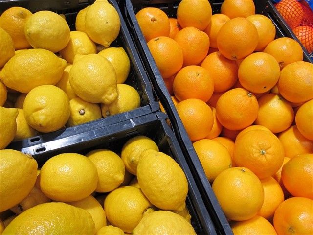 Winning Totana will require the European Parliament and the Spanish representatives in that institution to take immediate measures to mitigate the damage committed to the citrus producers