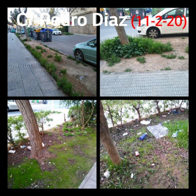MC: Castejón y Arroyo abandonan los parques y jardines del municipio mientras ´decoran´ el centro con flores que se les caen - 1, Foto 1