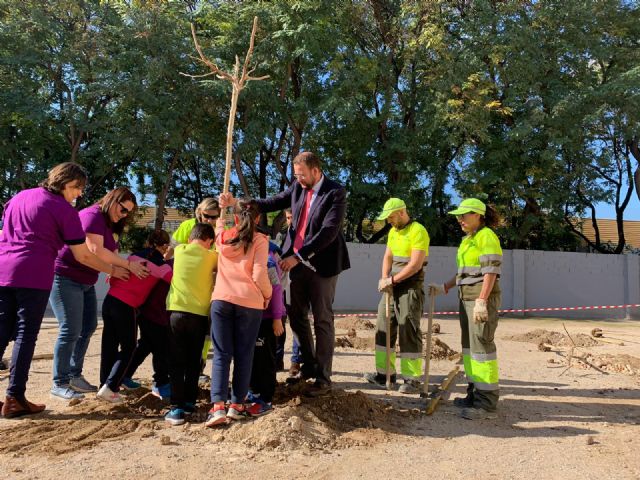 El CEIP San Andrés dispondrá de nuevas zonas de sombra natural gracias al Plan Foresta - 1, Foto 1