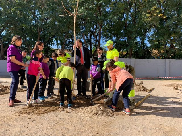 El CEIP San Andrés dispondrá de nuevas zonas de sombra natural gracias al Plan Foresta - 3, Foto 3