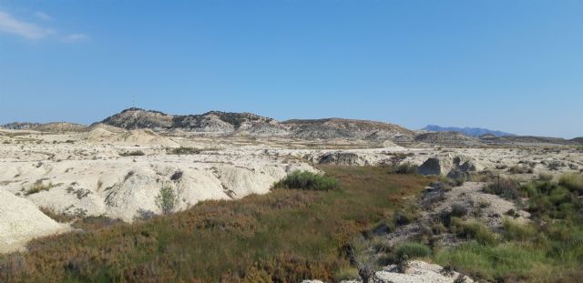 La Comunidad ampla la red de humedales y saladares con la adquisicin de fincas rsticas en Abanilla, Alhama de Murcia y Fortuna, Foto 1