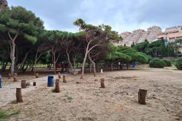 El Ayuntamiento de Cartagena repoblará con árboles jóvenes la Cala del Pino - 1, Foto 1
