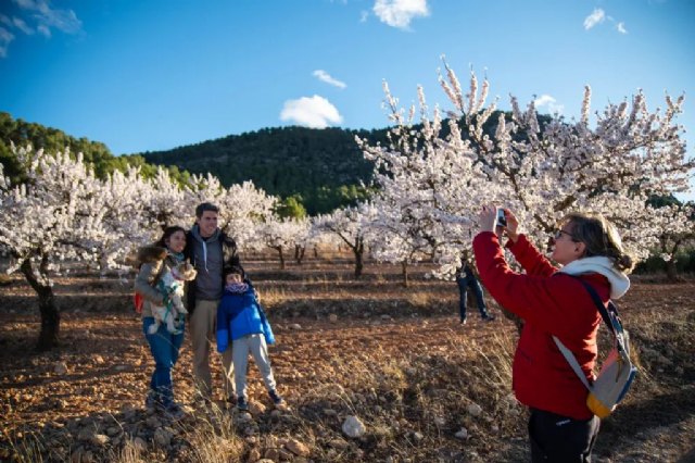 La primera floración de Europa sigue resplandeciendo en la segunda semana de MulaFlor24 - 1, Foto 1