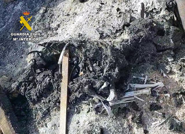 El SEPRONA de la Guardia Civil investiga a un vecino de San Javier por la incineración de un perro - 2, Foto 2