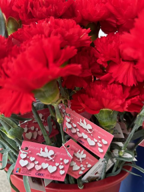 Cupido pasea por las calles de Torre Pacheco sorprendiendo a los vecinos - 1, Foto 1