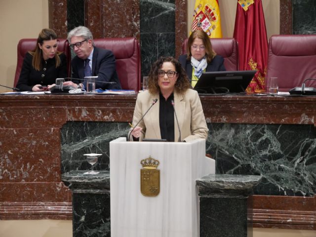 Román: En un contexto de incertidumbre e inseguridad por parte del Gobierno de España, la Región de Murcia se ha desmarcado como un modelo de estabilidad y crecimiento - 1, Foto 1
