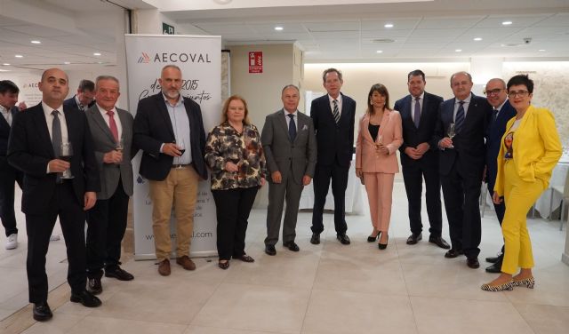 Los empresarios de vehículos de alquiler denuncian la imposición de comprar coches eléctricos - 4, Foto 4