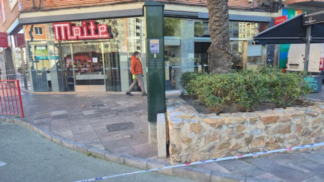 El Ayuntamiento de Murcia resuelve más de 150 incidencias por la alerta naranja por viento - 2, Foto 2