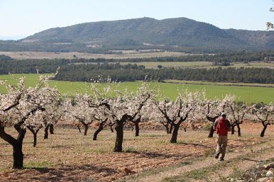 La Carrera Popular de San José y la ruta de Lorca a Pie entre Avilés y Lomas del Ciller, dos oportunidades para disfrutar del deporte el próximo domingo 19 de marzo - 1, Foto 1
