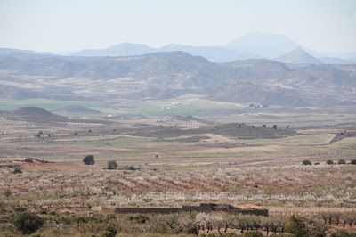 La Carrera Popular de San José y la ruta de Lorca a Pie entre Avilés y Lomas del Ciller, dos oportunidades para disfrutar del deporte el próximo domingo 19 de marzo - 2, Foto 2