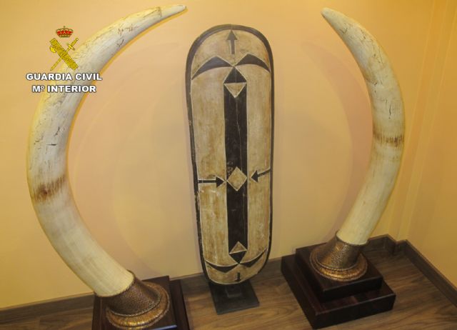 La Guardia Civil localiza cerca de doscientas piezas naturalizadas de especies animales protegidas - 2, Foto 2