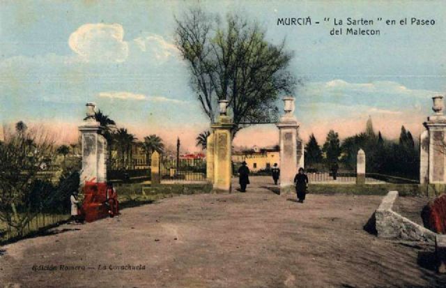 Huerta Viva lamenta la tala del plátano bicentenario de La Sartén - 1, Foto 1