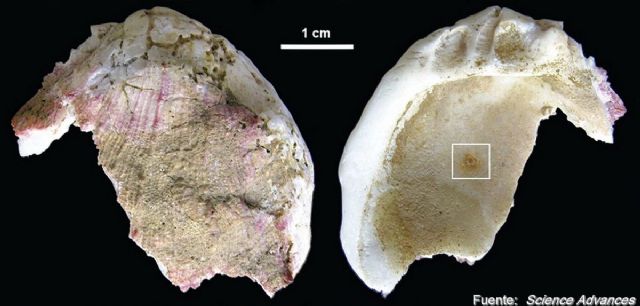 Recientes investigaciones de los materiales de la Cueva de los Aviones muestran a unos neandertales mas humanos - 1, Foto 1
