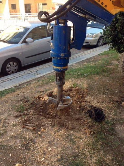 Parques y Jardines realiza el destoconado de viejos troncos para recuperar diversos árboles en el municipio - 2, Foto 2