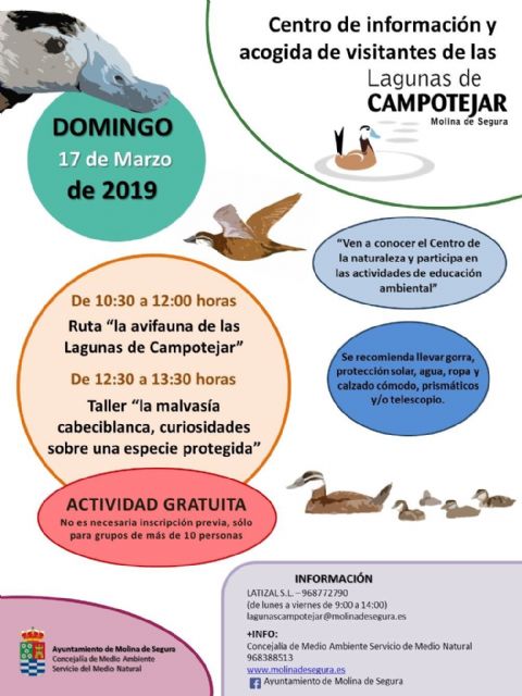 El Centro de Información y Acogida de Visitantes de Las Lagunas de Campotéjar  Salar Gordo de Molina de Segura propone conocer a la malvasía cabeciblanca, una especie en peligro de extinción, el domingo 17 de marzo - 1, Foto 1