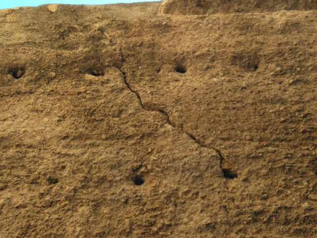 Huermur denuncia el mal estado de la muralla medieval de Murcia - 3, Foto 3