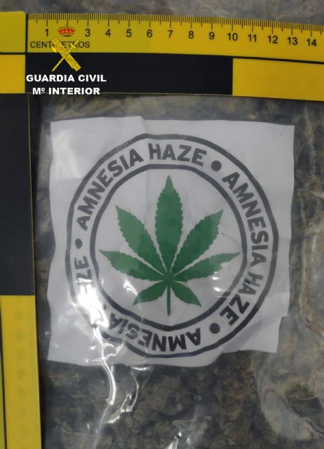 La Guardia Civil detiene in fraganti a los cuatro miembros de una organización mientras cargaban un camión con marihuana en Lorquí - 1, Foto 1