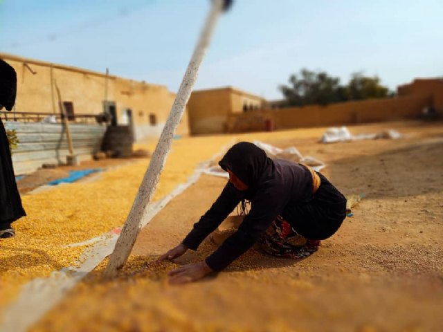 Distribución de cebada en una zona rural de Alepo, noviembre 2021, Foto 1