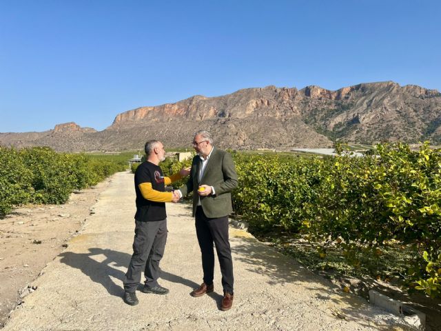 La solana de la Sierra de Orihuela en Santomera, declarada Bien de Interés Cultural - 1, Foto 1