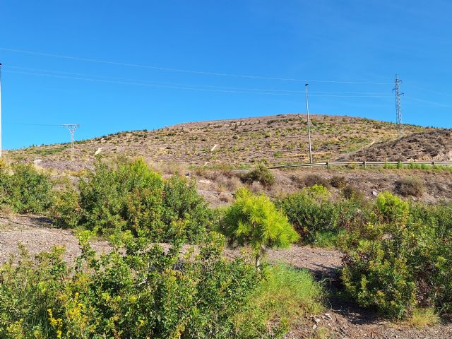 El Ayuntamiento contratará a 20 alumnos-trabajadores desempleados a través del programa experiencial Nueva vida para la antigua escombrera municipal y su entorno, Fase III - 1, Foto 1