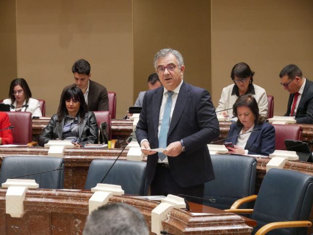 El Gobierno regional ampliará y obligará a retirar hasta 350.000 toneladas de residuos en los terrenos de Zinsa - 2, Foto 2