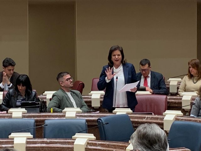 El Grupo Parlamentario Socialista realiza tres preguntas orales al Consejo de Gobierno - 1, Foto 1