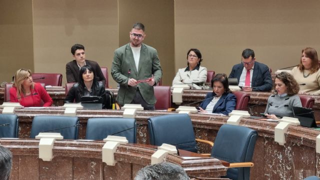 El Grupo Parlamentario Socialista realiza tres preguntas orales al Consejo de Gobierno - 2, Foto 2