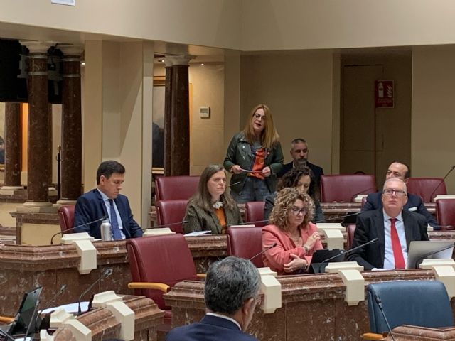 El Grupo Parlamentario Socialista realiza tres preguntas orales al Consejo de Gobierno - 3, Foto 3