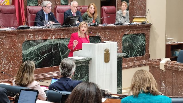 Carmina Fernández: La infrafinanciación es el comodín que usa el PP para tapar todo lo que no es capaz de hacer por su negligencia - 1, Foto 1