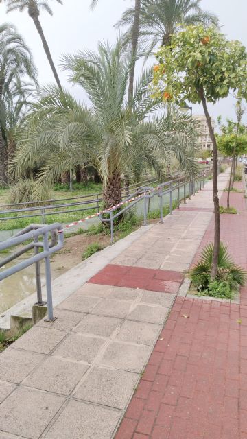 El Ayuntamiento de Murcia activa el dispositivo especial ante el aviso amarillo por tormentas emitido por AEMET - 1, Foto 1