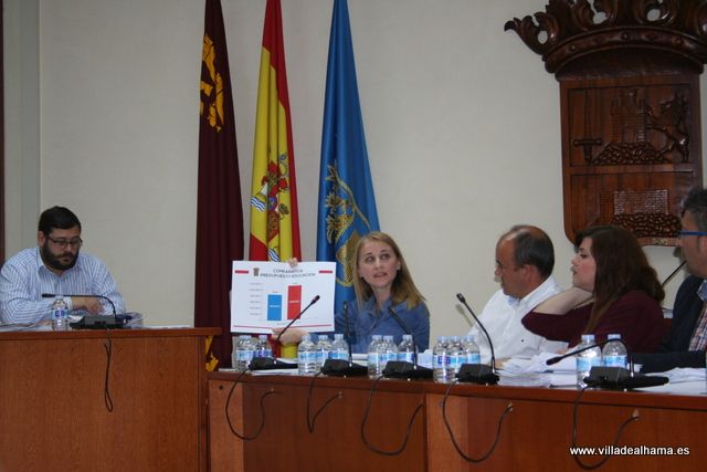 Aprobados los Presupuestos Municipales con las enmiendas de IU-Verdes - 1, Foto 1