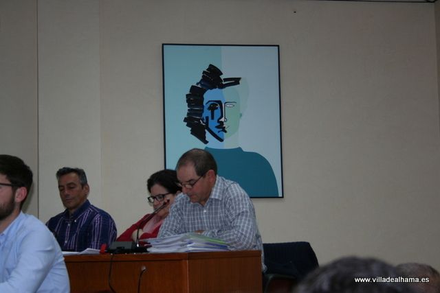 Aprobados los Presupuestos Municipales con las enmiendas de IU-Verdes - 3, Foto 3