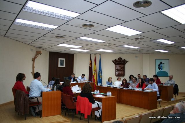 Aprobados los Presupuestos Municipales con las enmiendas de IU-Verdes - 5, Foto 5