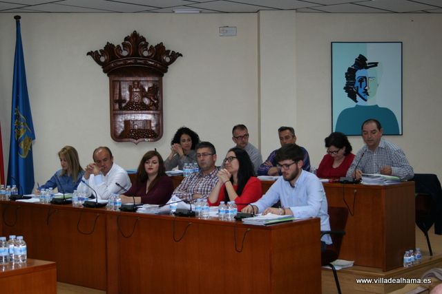 Aprobados los Presupuestos Municipales con las enmiendas de IU-Verdes, Foto 7