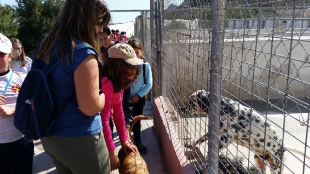 Ecoescuelas visita la protectora de animales Aguiproan - 1, Foto 1