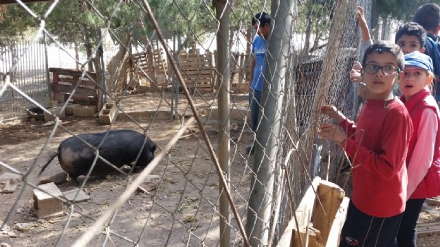 Ecoescuelas visita la protectora de animales Aguiproan - 3, Foto 3