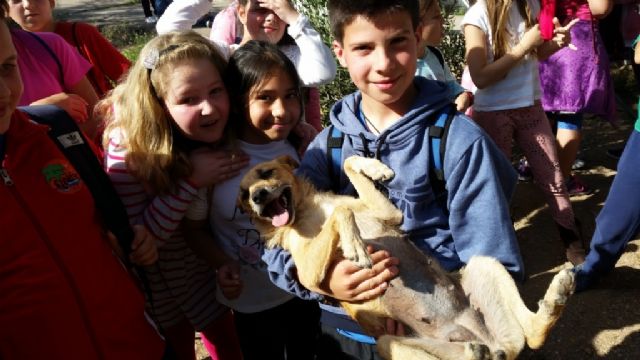 Ecoescuelas visita la protectora de animales Aguiproan - 4, Foto 4