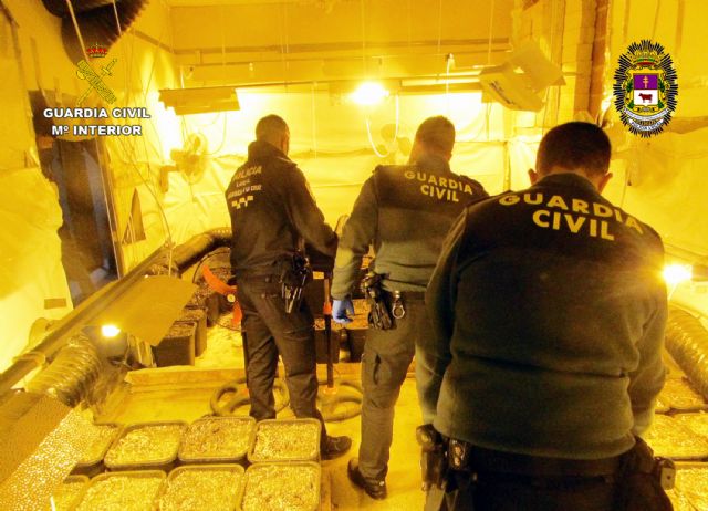 Desmantelan un  invernadero de marihuana en la pedanía caravaqueña de Navares - 1, Foto 1