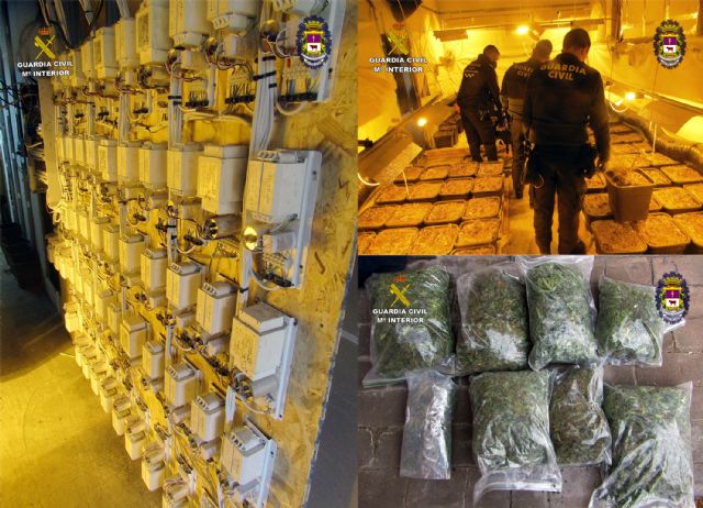 Desmantelan un  invernadero de marihuana en la pedanía caravaqueña de Navares - 3, Foto 3