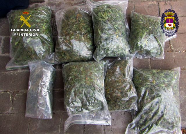 Desmantelan un  invernadero de marihuana en la pedanía caravaqueña de Navares - 4, Foto 4