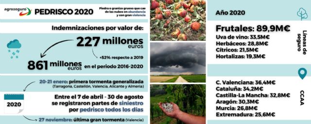 Las tormentas de pedrisco, cada vez más frecuentes y más violentas, dejan 861 millones en indemnizaciones en la agricultura en los últimos cinco años - 1, Foto 1