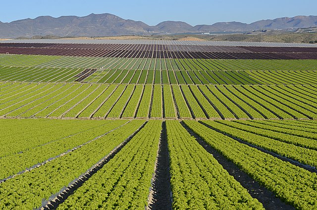Nuevo centro de investigación de Primaflor - 1, Foto 1