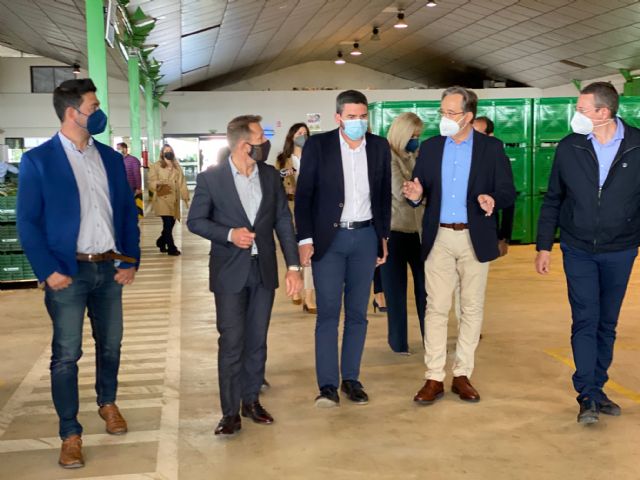 El consejero Antonio Luengo y el alcalde de Torre Pacheco Antonio León asisten a la subasta de pimiento celebrada en Agrodolores Dolores de Pacheco - 2, Foto 2