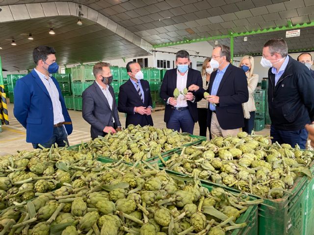 El consejero Antonio Luengo y el alcalde de Torre Pacheco Antonio León asisten a la subasta de pimiento celebrada en Agrodolores Dolores de Pacheco - 3, Foto 3