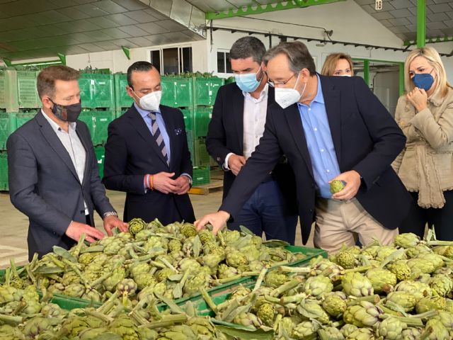 El consejero Antonio Luengo y el alcalde de Torre Pacheco Antonio León asisten a la subasta de pimiento celebrada en Agrodolores Dolores de Pacheco - 5, Foto 5