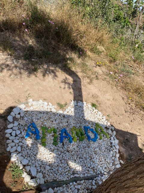 Carrera virtual, Marcha popular El Piular de Miriam - 1, Foto 1